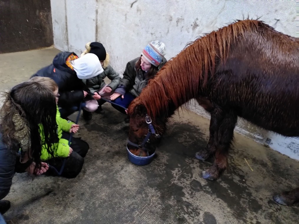 Besuch bei einem Pony